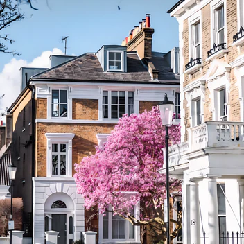 CHELSEA BOUTIQUE